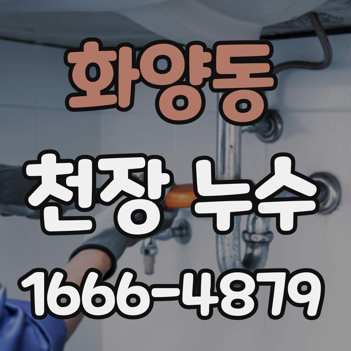 화양동 천장 누수
