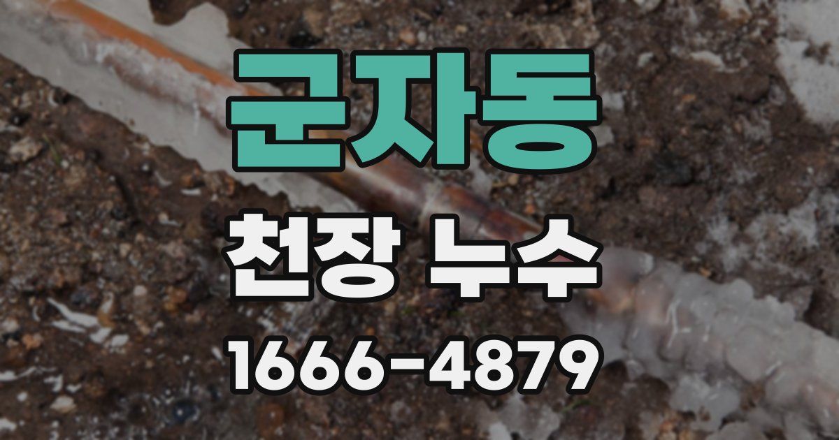 군자동 천장 누수