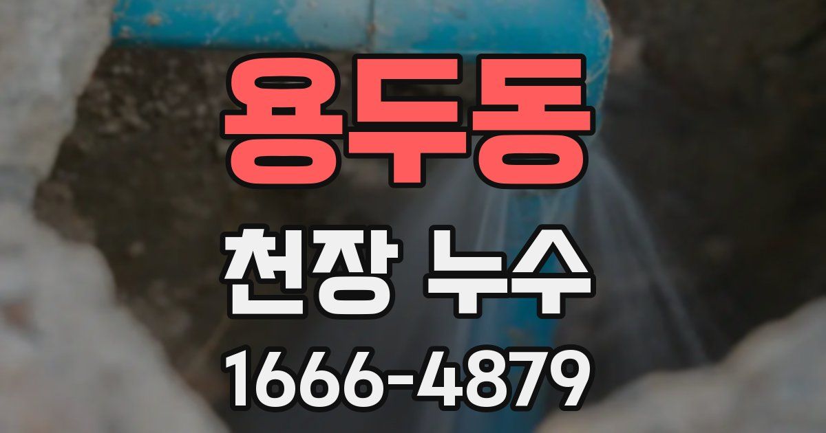 용두동 천장 누수