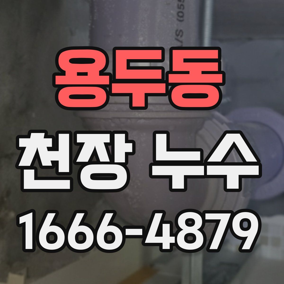 용두동 천장 누수