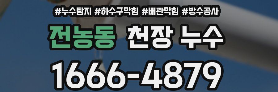전농동 천장 누수