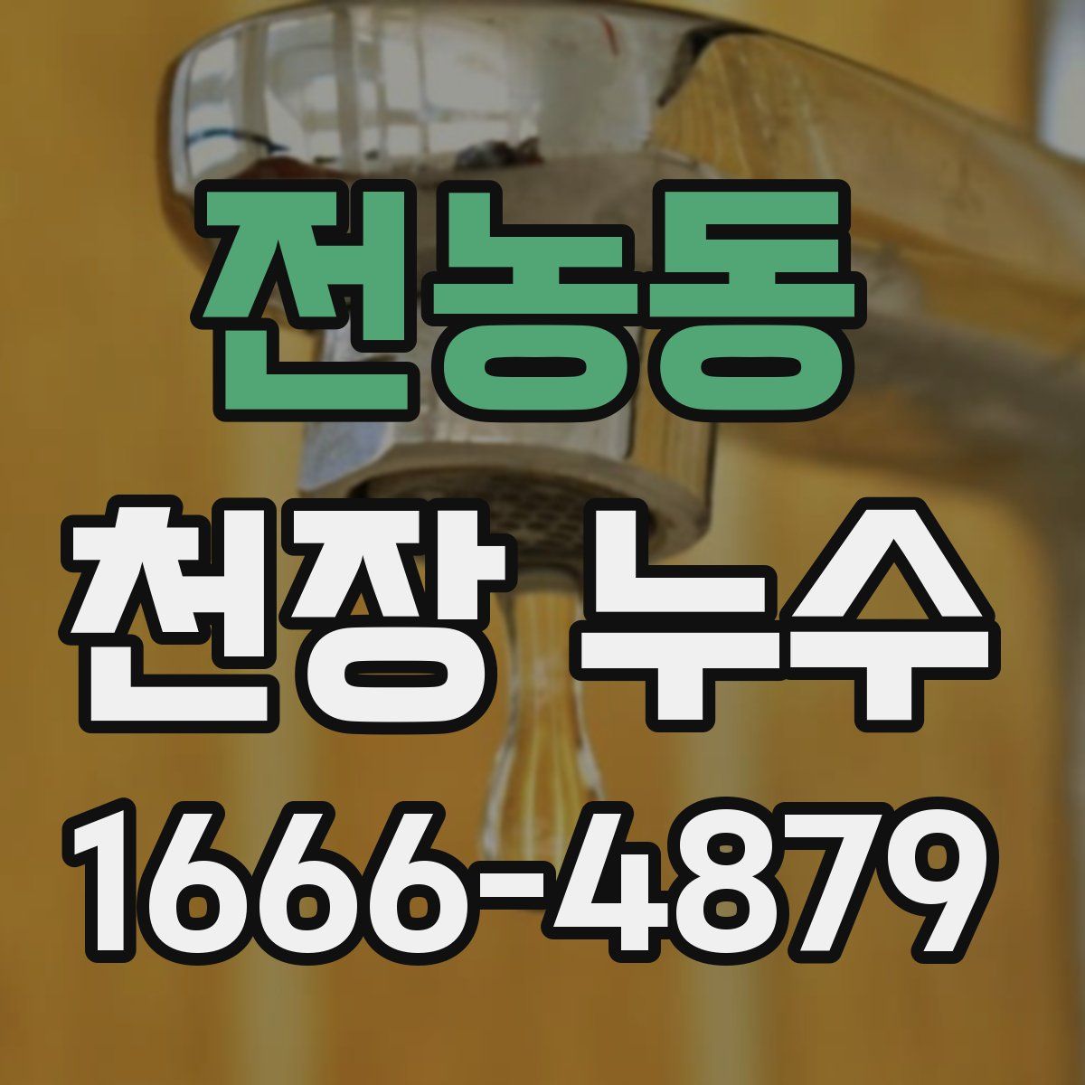 전농동 천장 누수