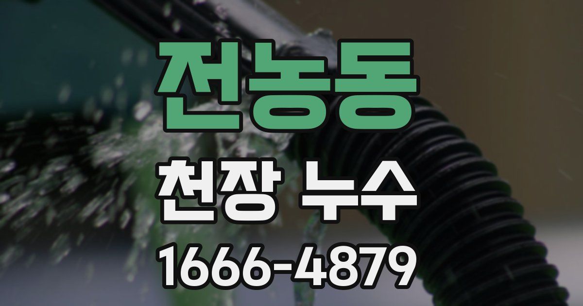 전농동 천장 누수