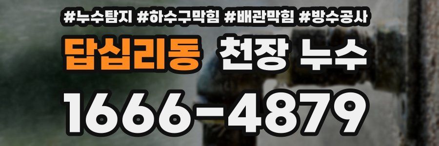 답십리동 천장 누수