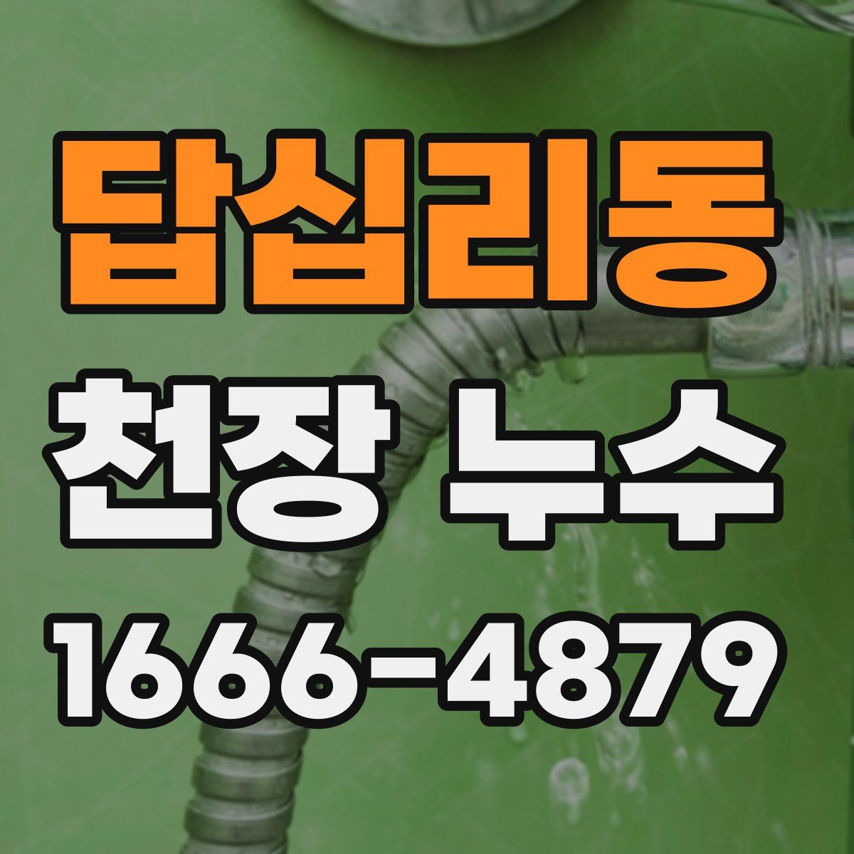답십리동 천장 누수
