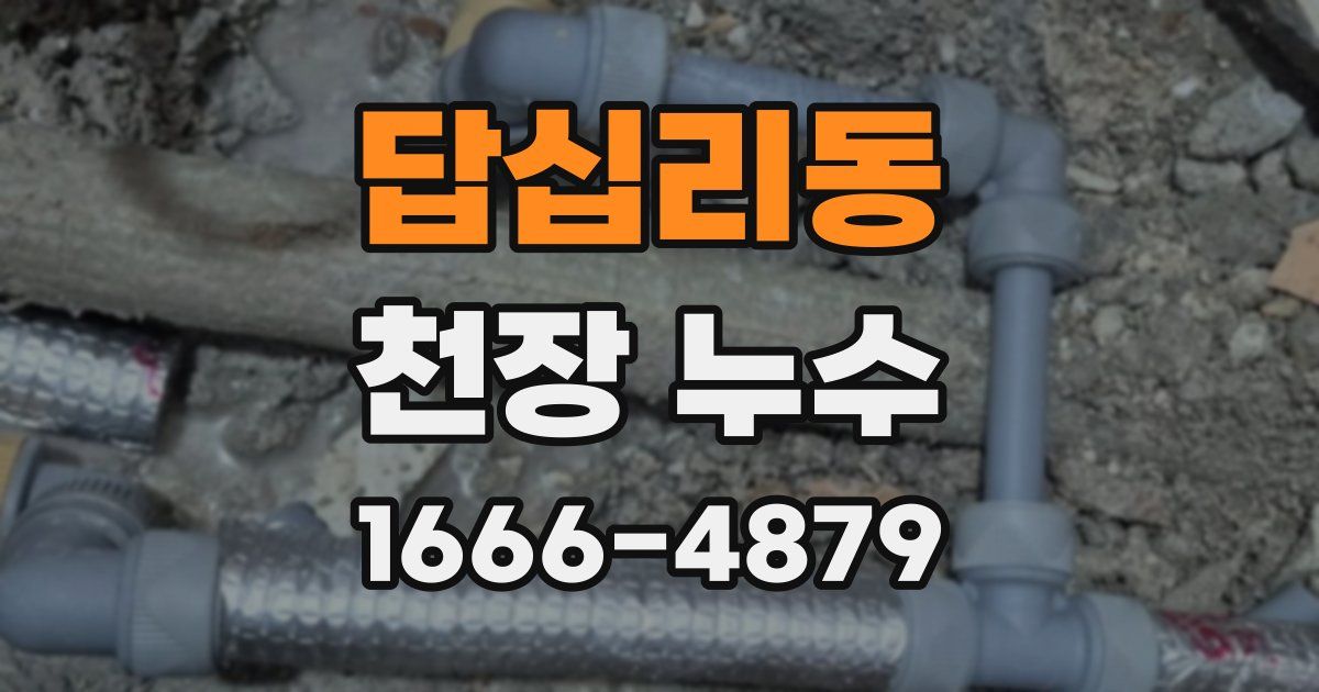 답십리동 천장 누수