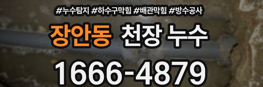 장안동 천장 누수