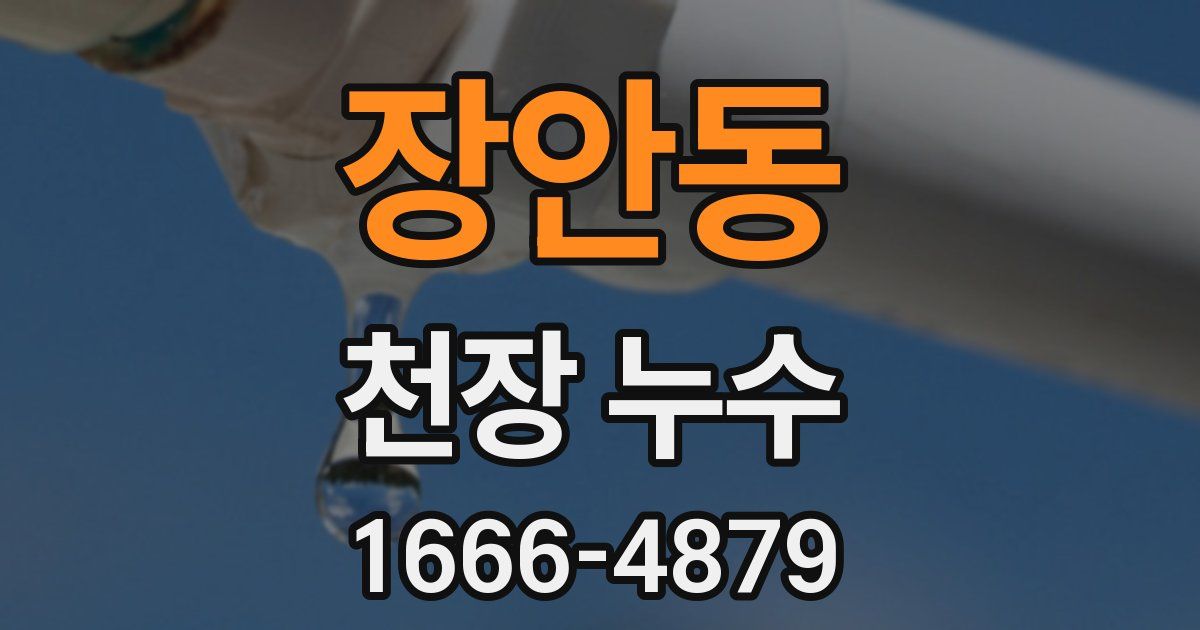장안동 천장 누수