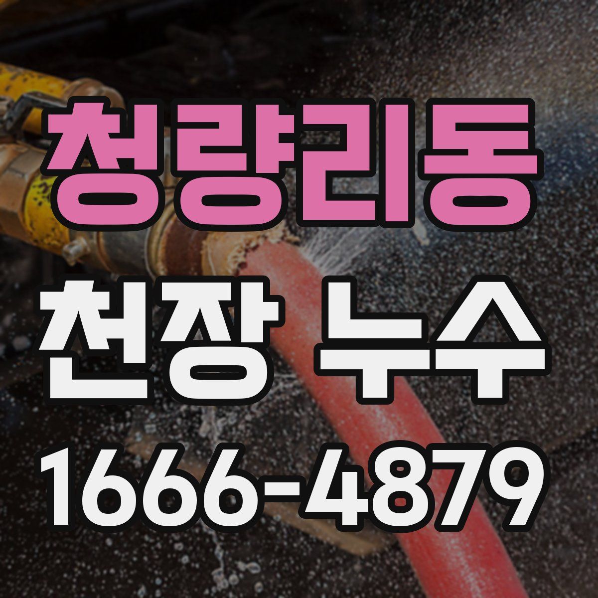 청량리동 천장 누수