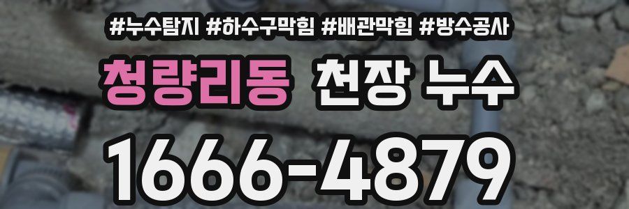 청량리동 천장 누수