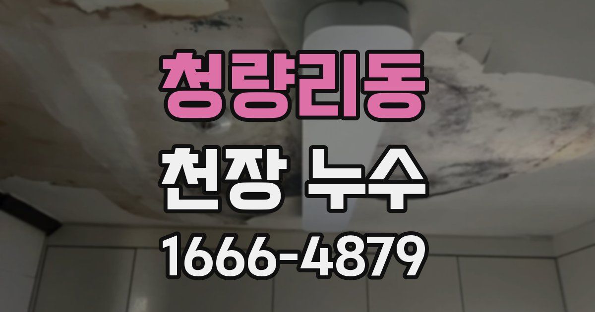 청량리동 천장 누수