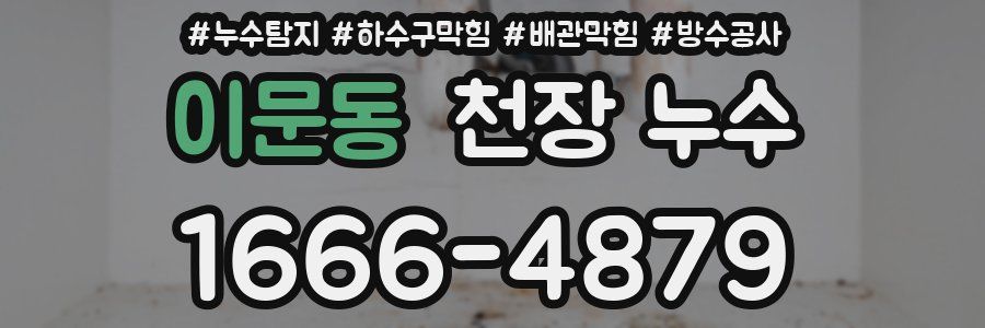 이문동 천장 누수