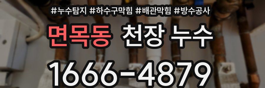 면목동 천장 누수