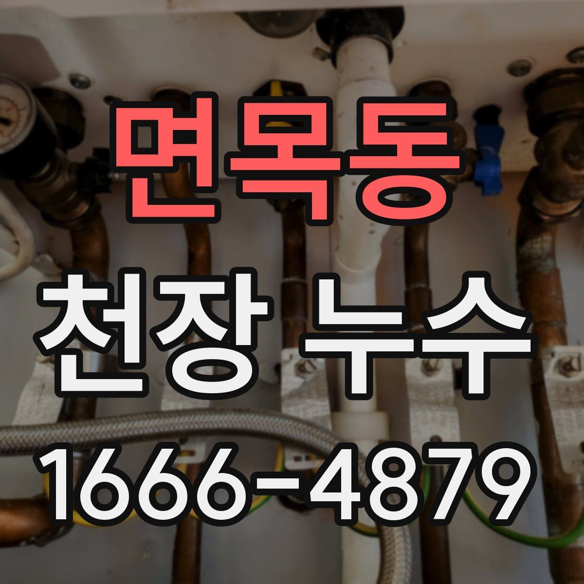면목동 천장 누수