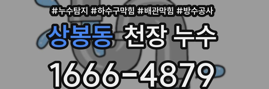 상봉동 천장 누수