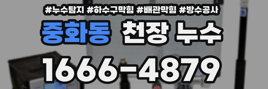 중화동 천장 누수