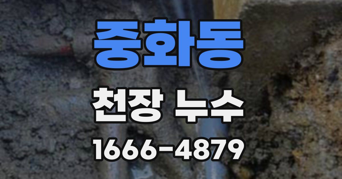 중화동 천장 누수