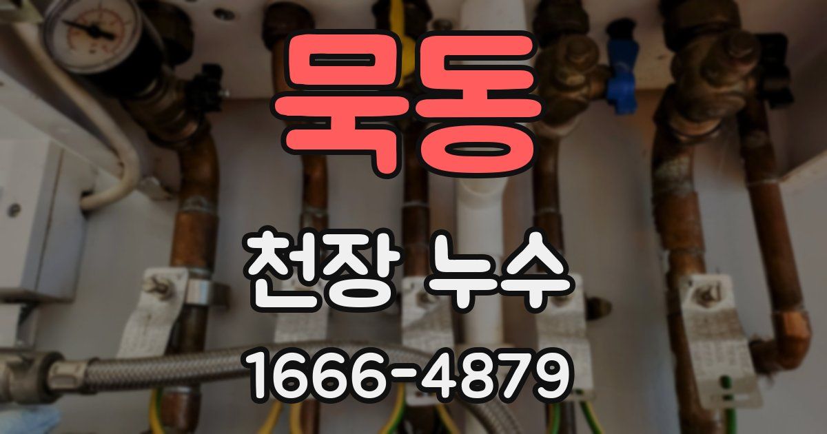 묵동 천장 누수