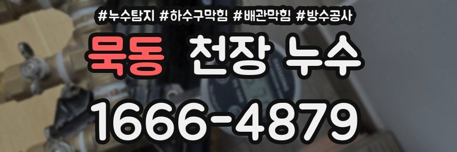 묵동 천장 누수