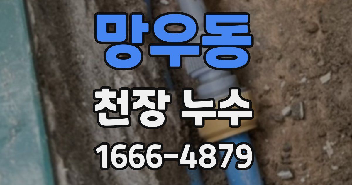 망우동 천장 누수
