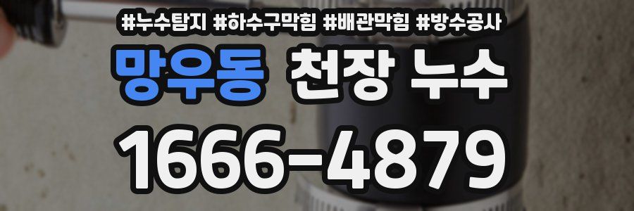 망우동 천장 누수