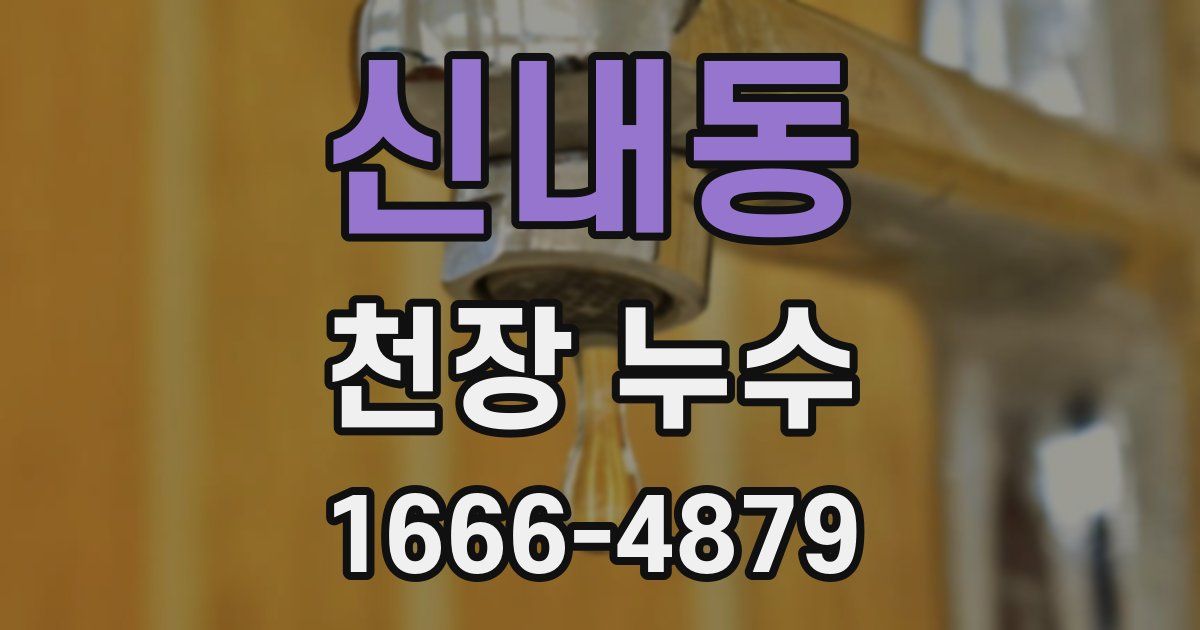 신내동 천장 누수