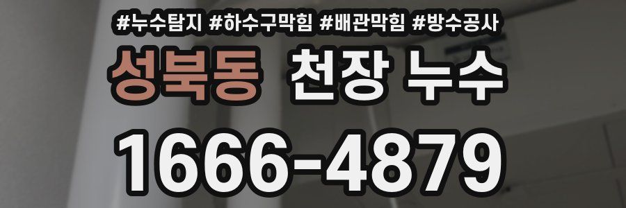 성북동 천장 누수