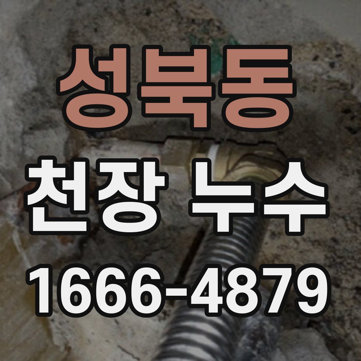 성북동 천장 누수