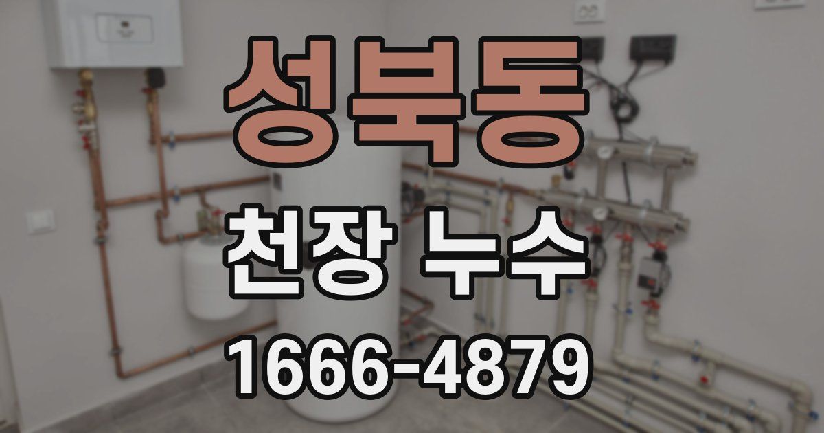 성북동 천장 누수