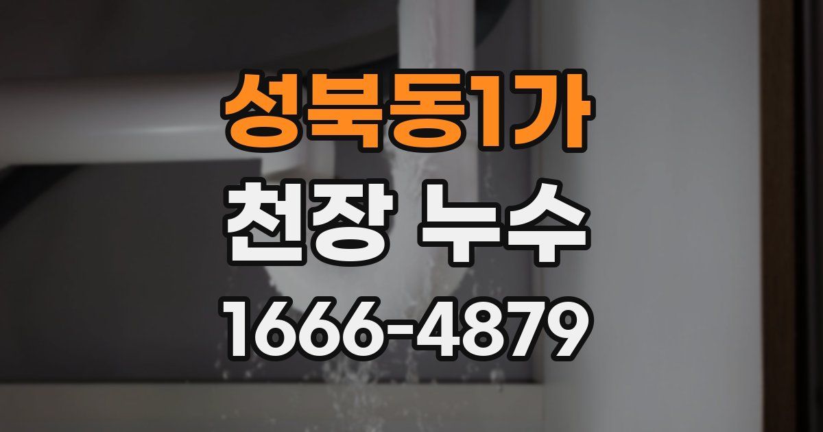 성북동1가 천장 누수