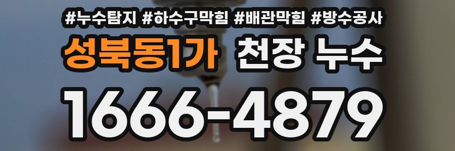 성북동1가 천장 누수