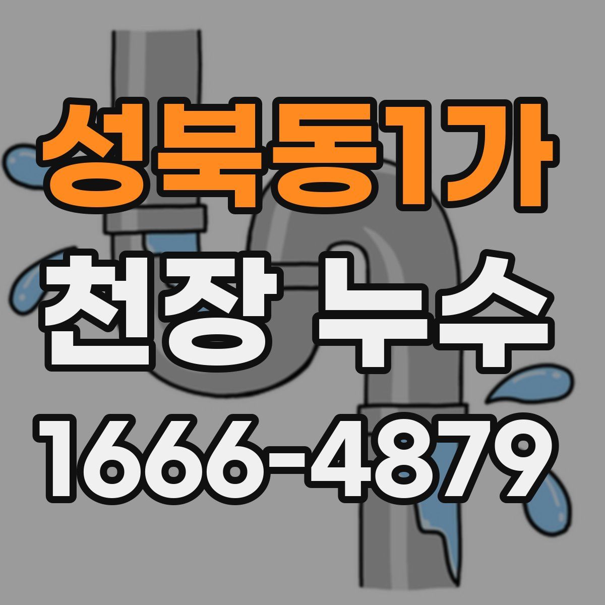 성북동1가 천장 누수