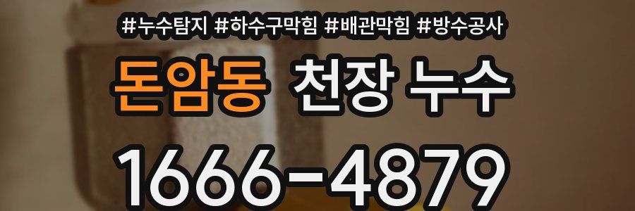돈암동 천장 누수