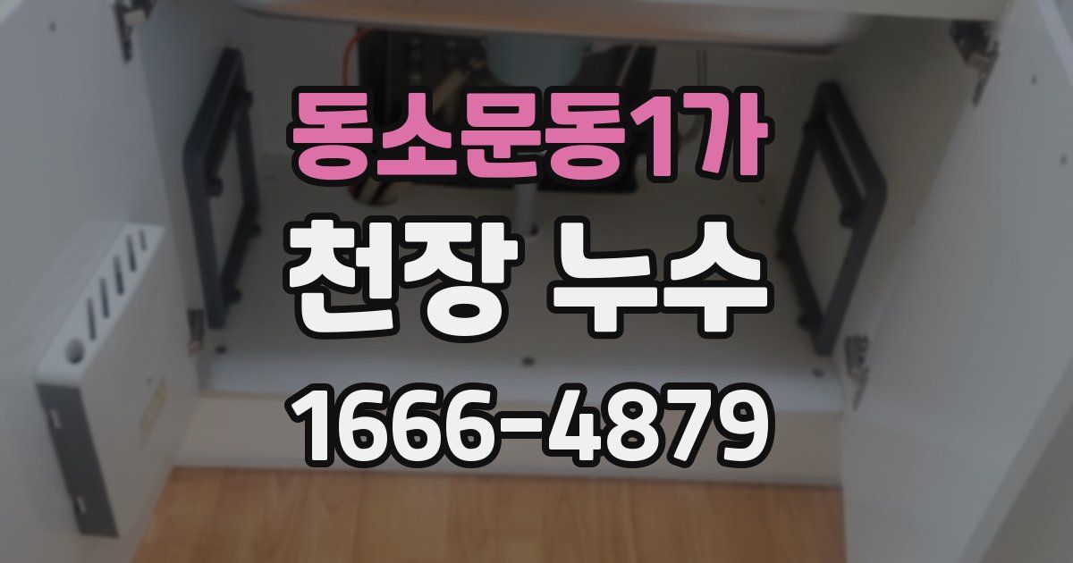 동소문동1가 천장 누수