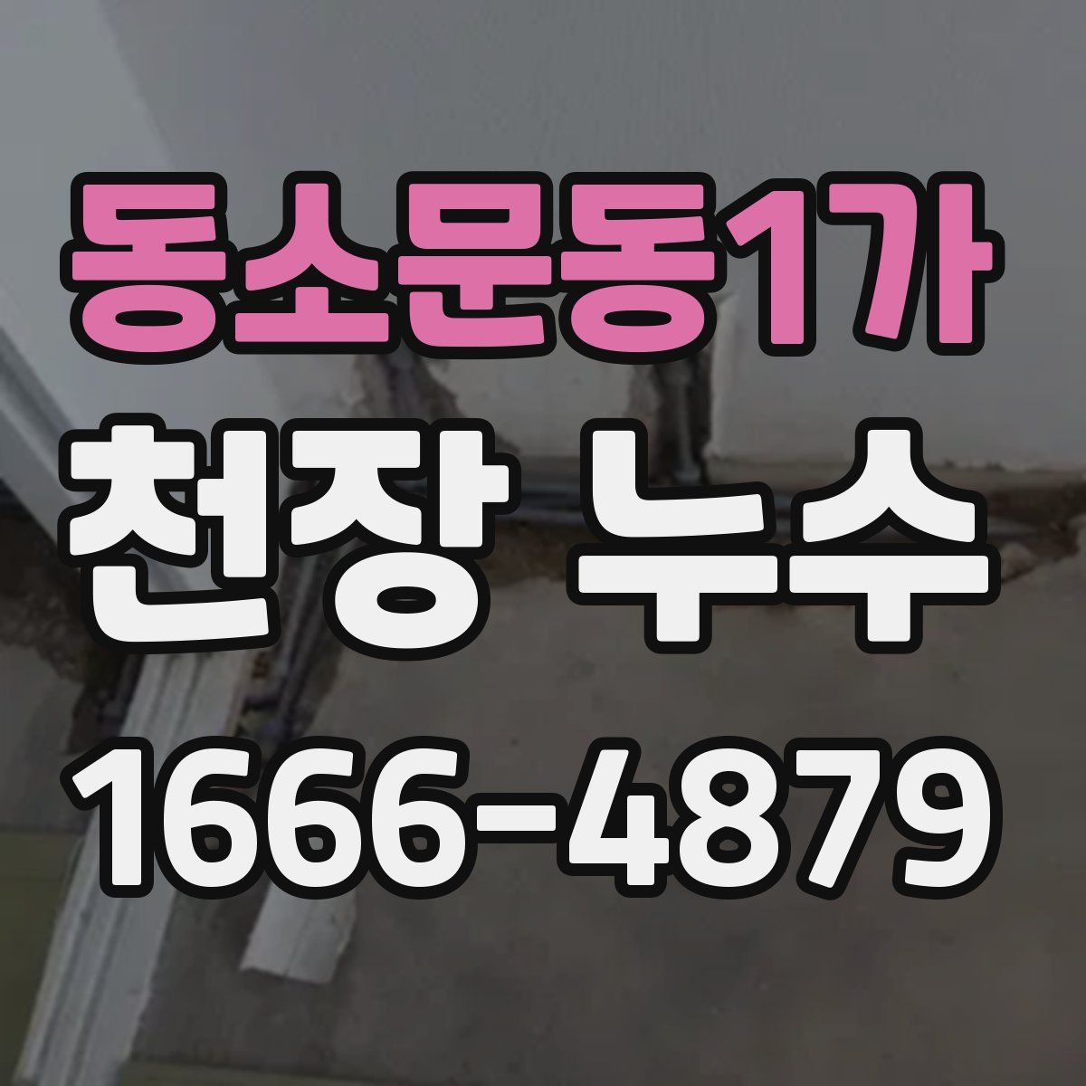 동소문동1가 천장 누수