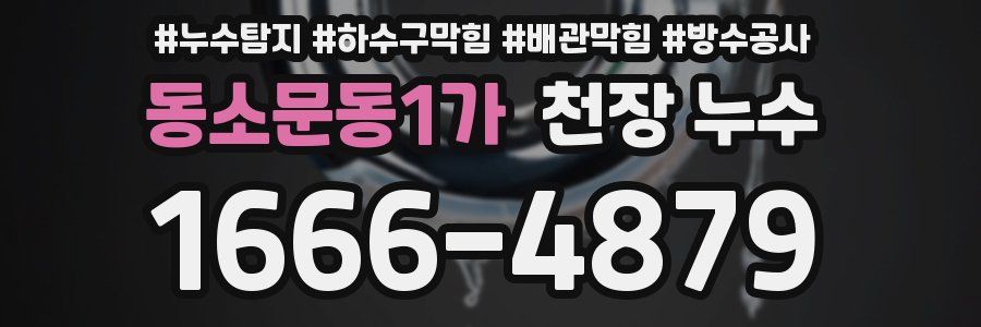 동소문동1가 천장 누수