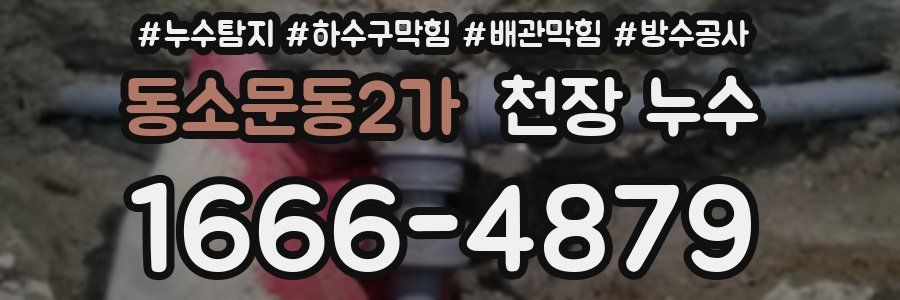 동소문동2가 천장 누수