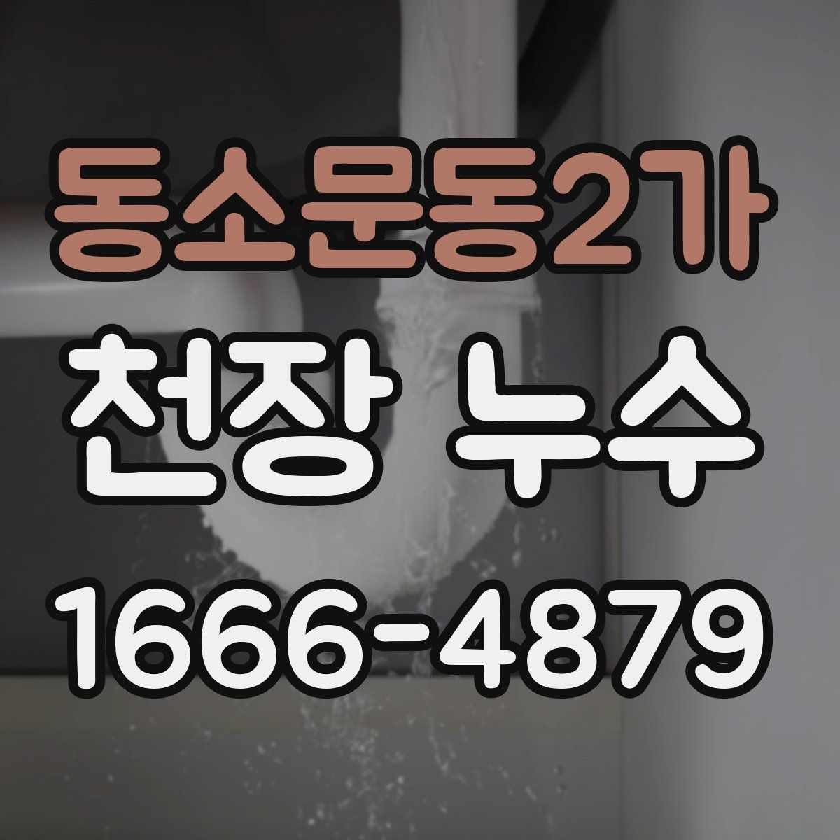 동소문동2가 천장 누수