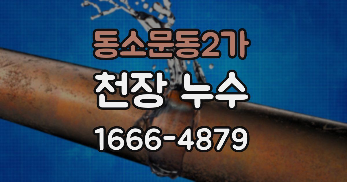 동소문동2가 천장 누수