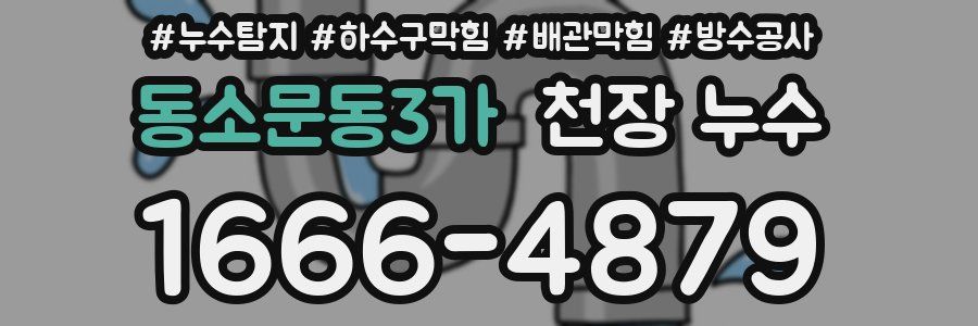 동소문동3가 천장 누수