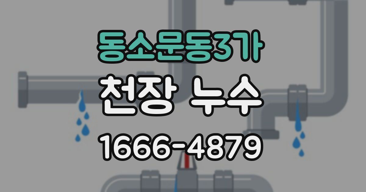 동소문동3가 천장 누수