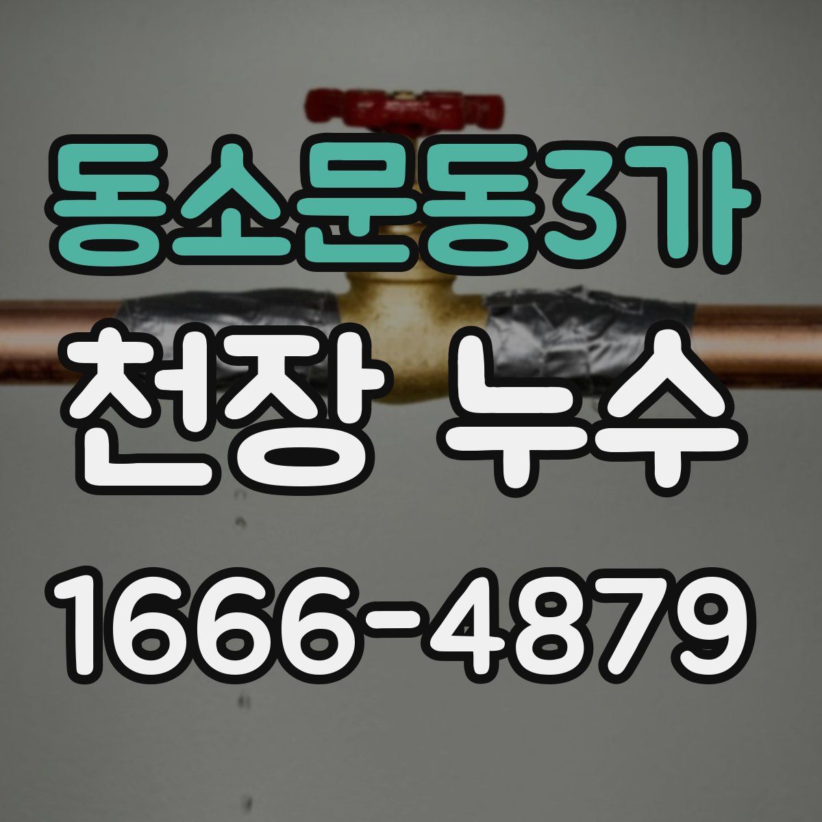 동소문동3가 천장 누수