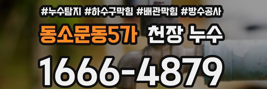 동소문동5가 천장 누수