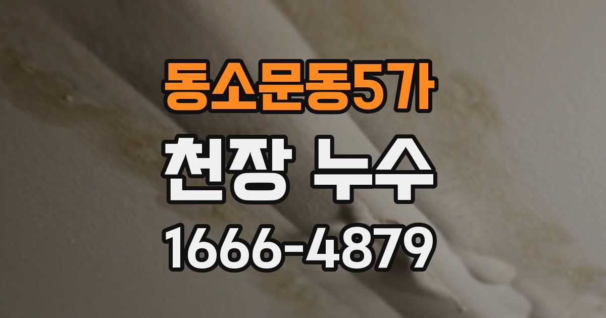 동소문동5가 천장 누수