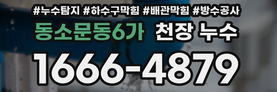 동소문동6가 천장 누수