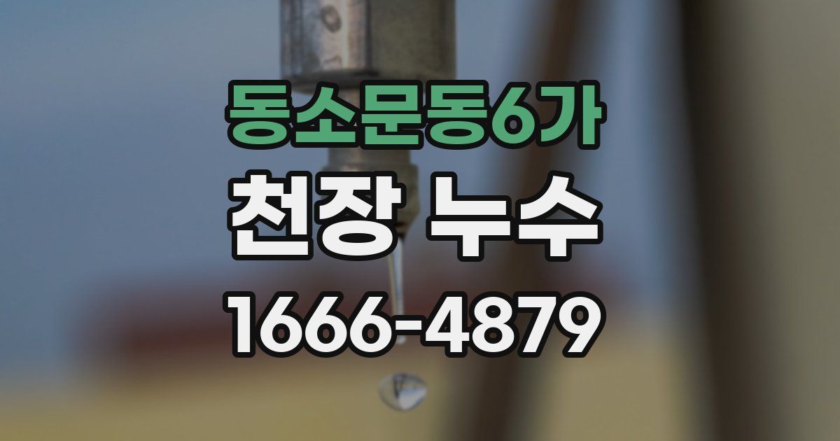 동소문동6가 천장 누수