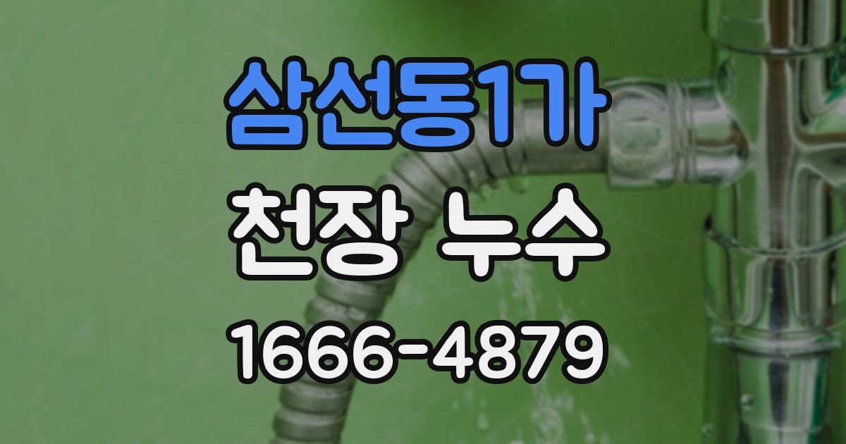 삼선동1가 천장 누수