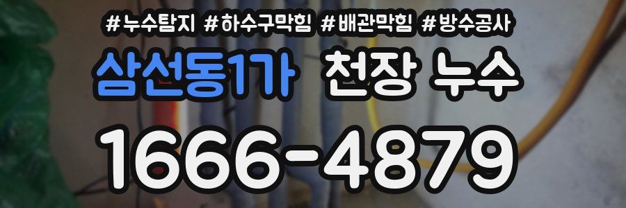 삼선동1가 천장 누수