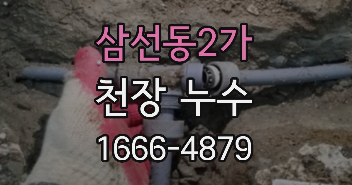 삼선동2가 천장 누수