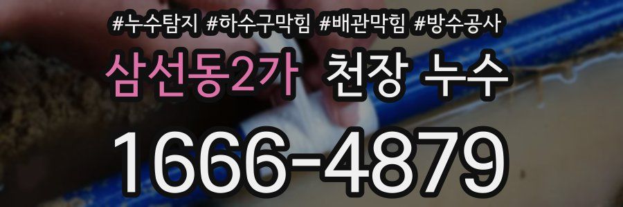 삼선동2가 천장 누수